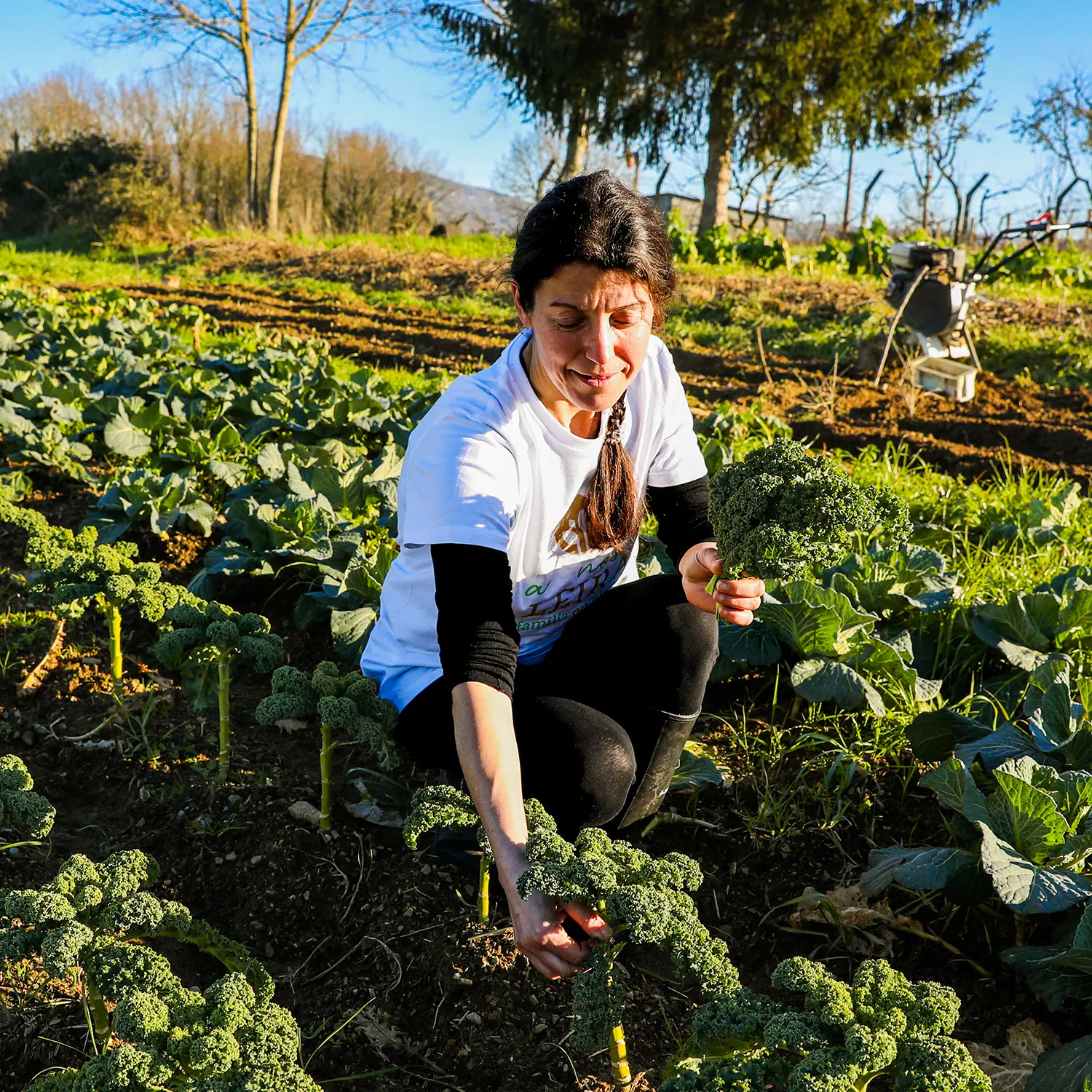 de la huerta a casa