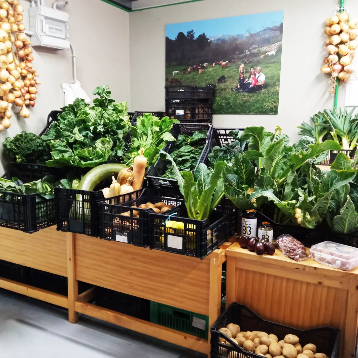 frutas y verduras ecológicas